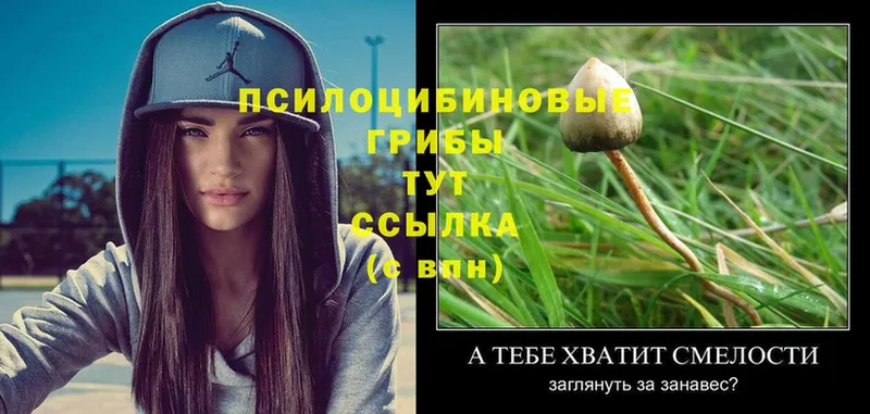 Псилоцибиновые грибы Magic Shrooms  хочу наркоту  ссылка на мегу онион  Лагань 